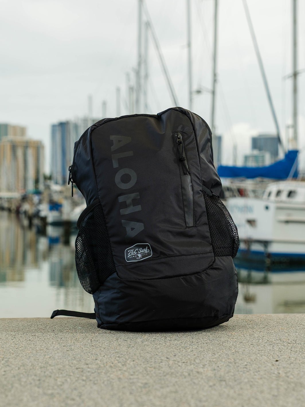 Stashable Backpack
