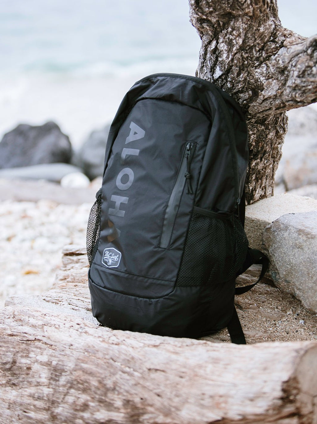 Stashable Backpack