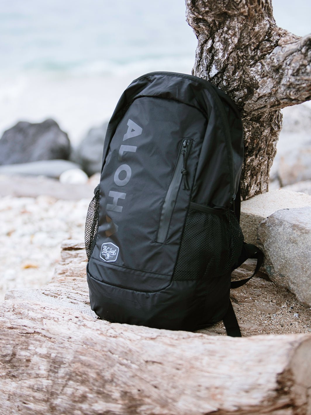 Stashable Backpack
